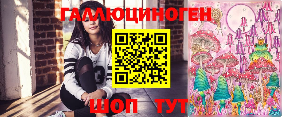 Карабулак  Псилоцибиновые грибы Psilocybine cubensis  Вход с VPN 